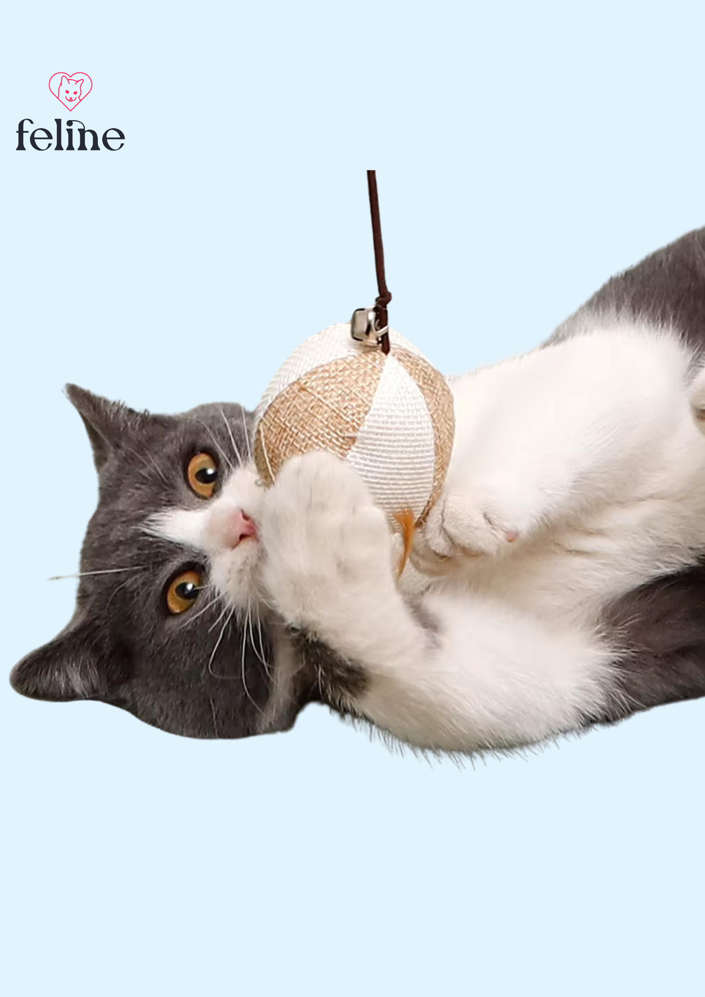 chat qui joue
