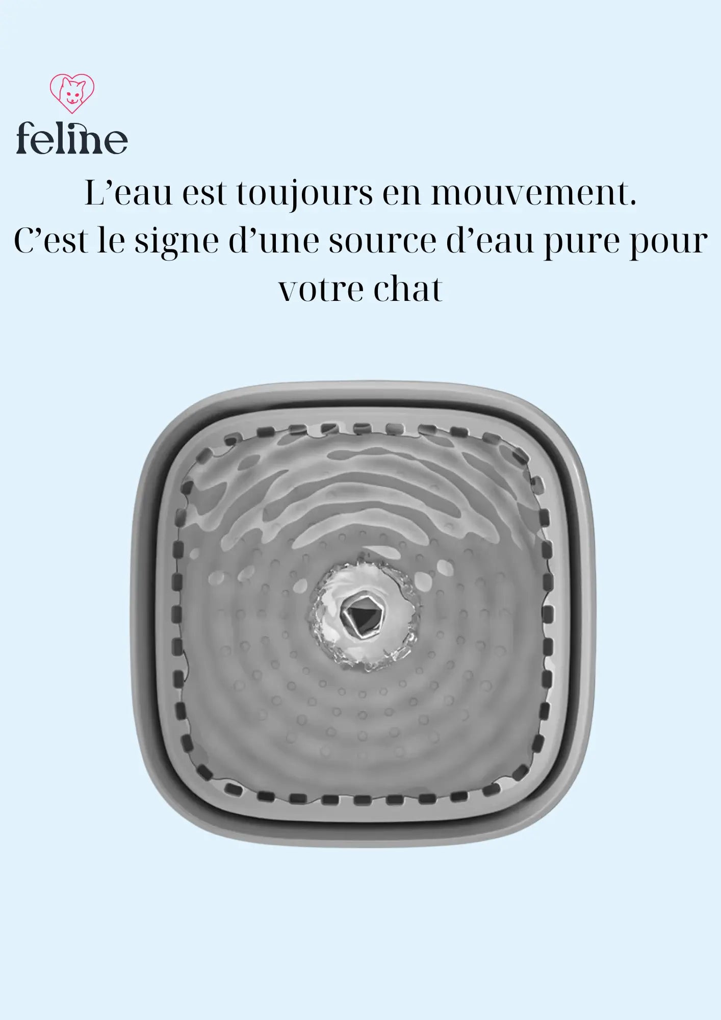 Fontaine à eau pour chat - MyFeline