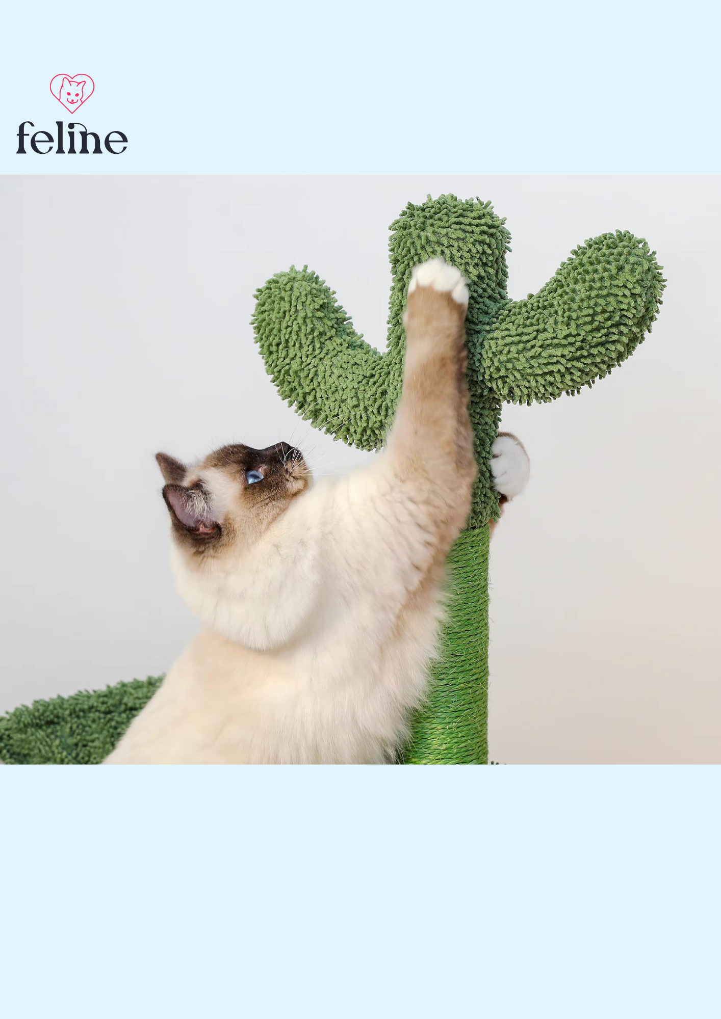 Arbre à chat cactus - MyFeline