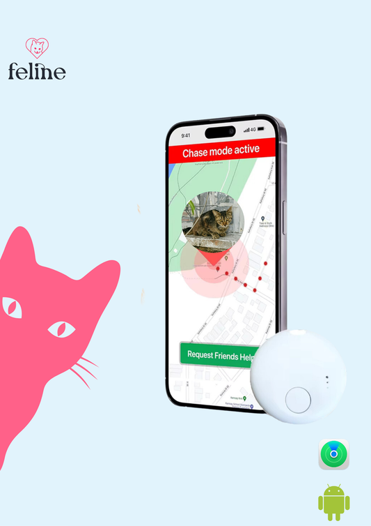 Traqueur GPS pour chat - MyFeline