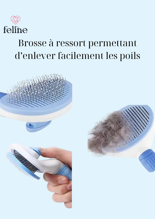 Kit de toilettage complet pour chat - MyFeline