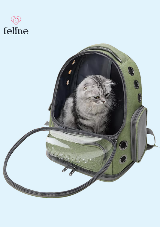 Sac à dos de transport pour chats - MyFeline
