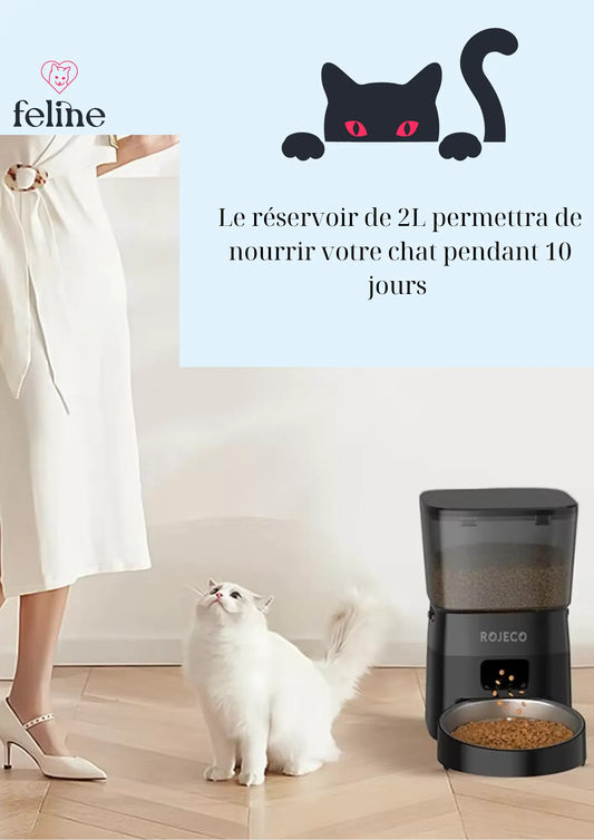 Distributeur automatique de croquettes pour chat - MyFeline