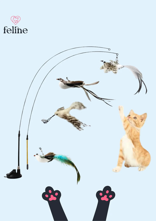 Bâton de stimulation flexible pour chat - MyFeline