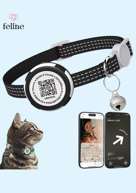 Collar para gatos con código QR compatible con Apple AirTag