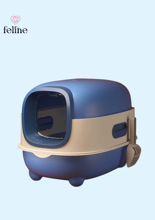 Arena para gatos