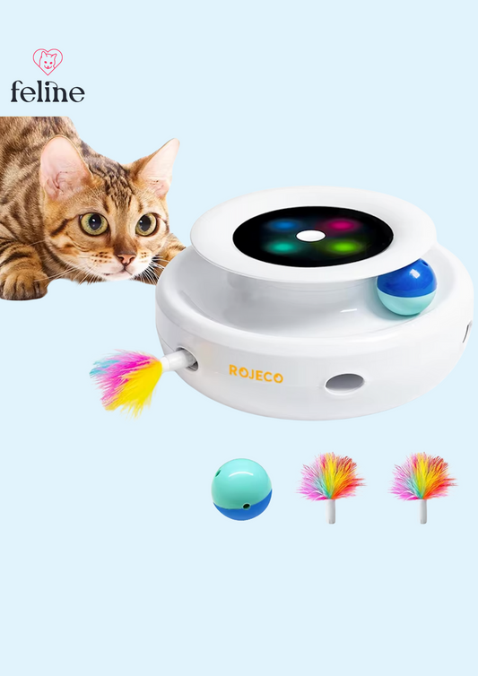 Chat jouant avec un jouet automatique