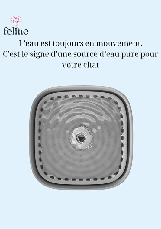 Fontaine à eau pour chat - MyFeline