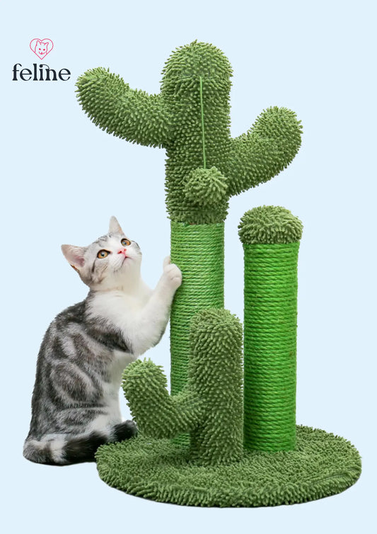 Petit arbre à chat cactus - MyFeline