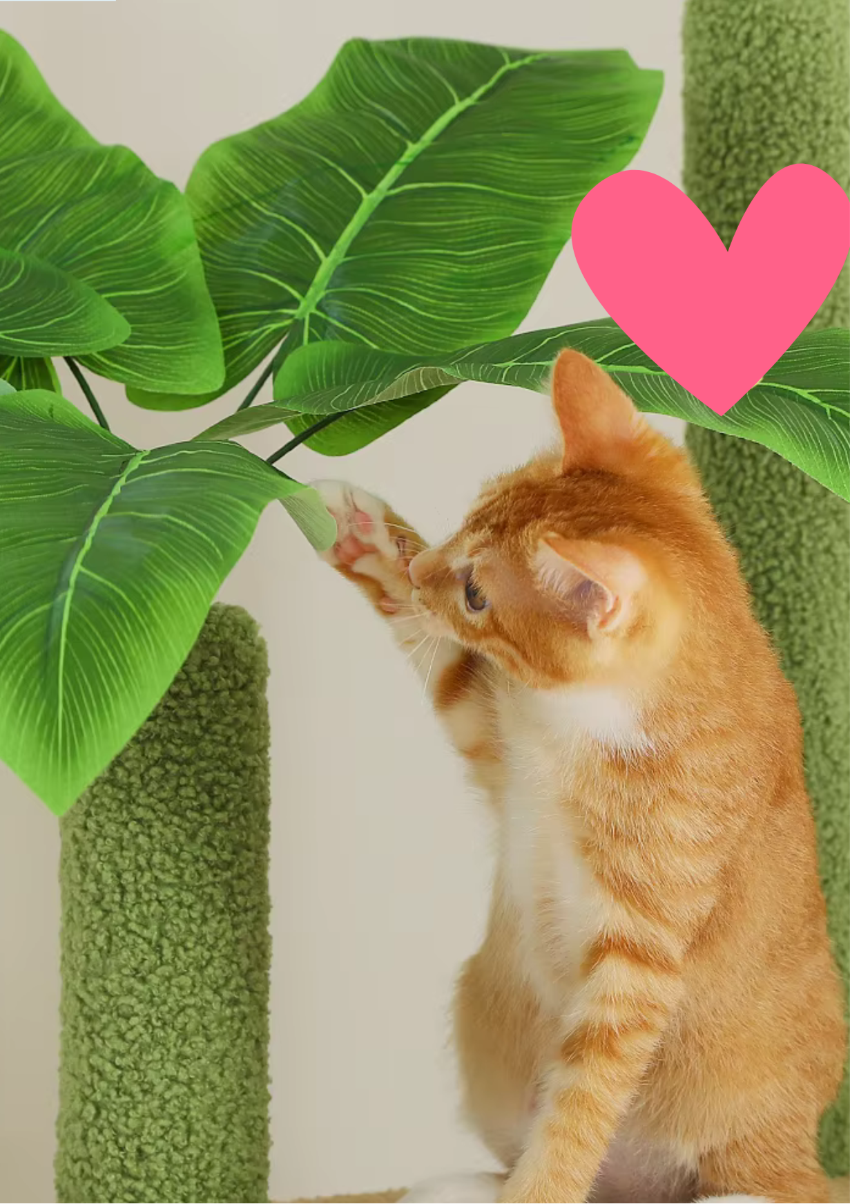 Arbre à chat cactus - MyFeline