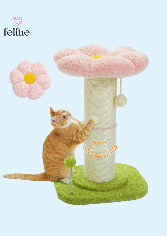 Arbre à chat fleuri - MyFeline