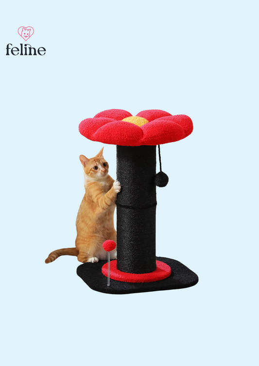 Arbre à chat fleuri - MyFeline