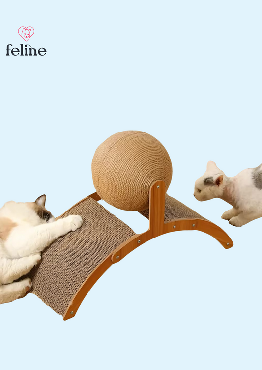 Jouet à griffer pour chat 2-en-1 - MyFeline