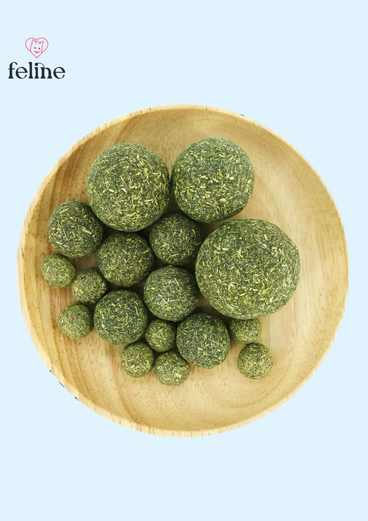 Boule d'herbe à chat comestible – 100% Naturelle