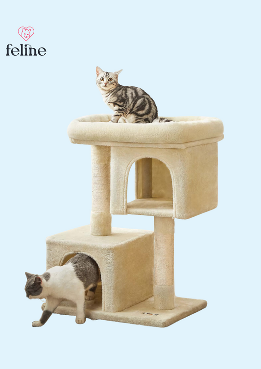 Petit arbre à chat avec 2 cachettes - MyFeline