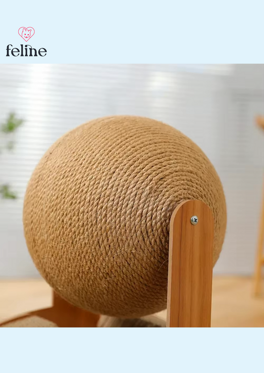 Jouet à griffer pour chat 2-en-1 - MyFeline