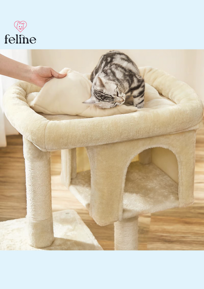 Petit arbre à chat avec 2 cachettes - MyFeline
