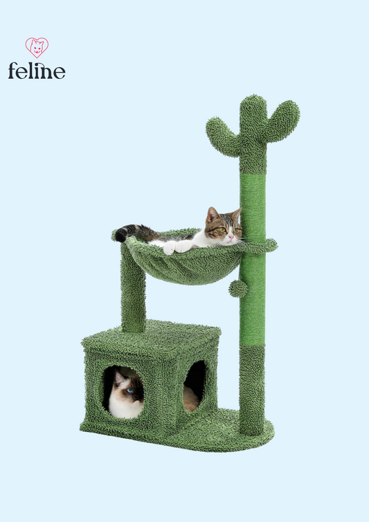 Arbre à chat cactus - MyFeline