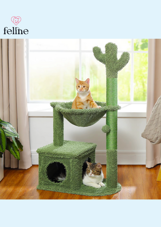 Arbre à chat cactus - MyFeline